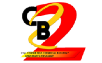 C2B2-University of San Agustin-1
